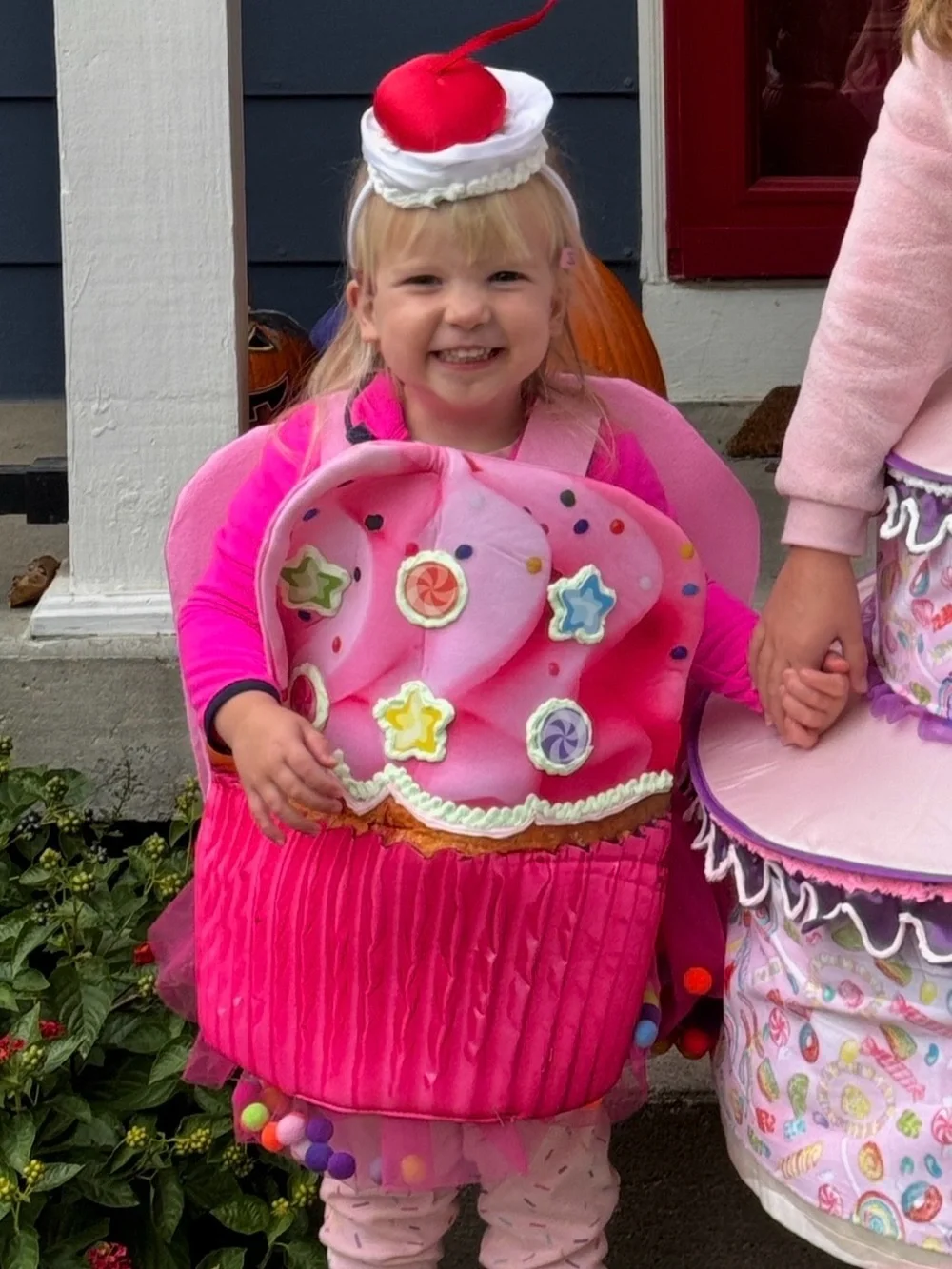 2T-4T Cupcake Costume